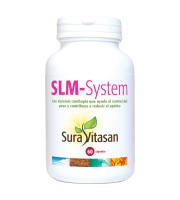 SLM-System  