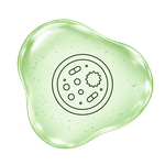 Departamento propio de microbiología