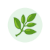 algas-espirulina-kelp-chlorela