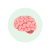 Memoria, concentración y función cognitiva