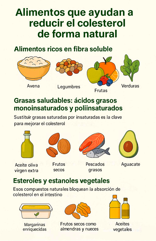 Alimentos que ayudan a reducir el colesterol