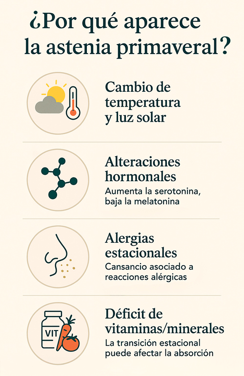 ¿Por qué aparece al astenia primaveral?