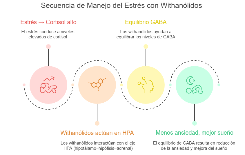 Mecanismo de acción de la ashwagandha