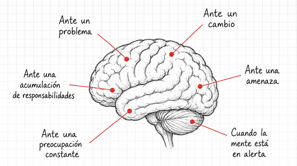 Estrés cerebro