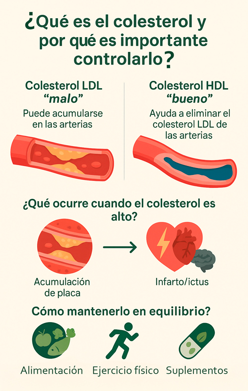 ¿Qué es el colesterol y por qué es importante controlarlo?