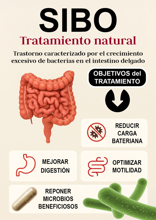 SIBO objetivos tratamiento