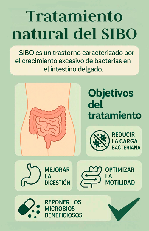 Tratamiento natural del SIBO