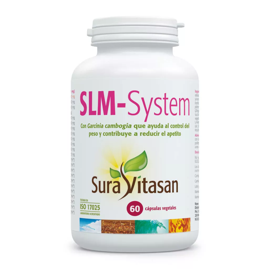 SLM-System