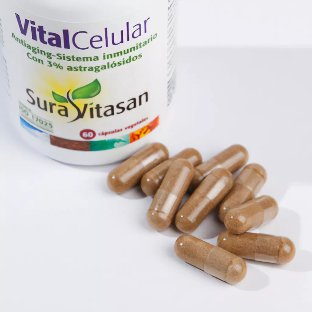 Vital Celular
