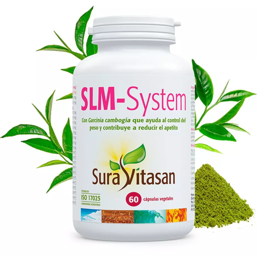 SLM-System