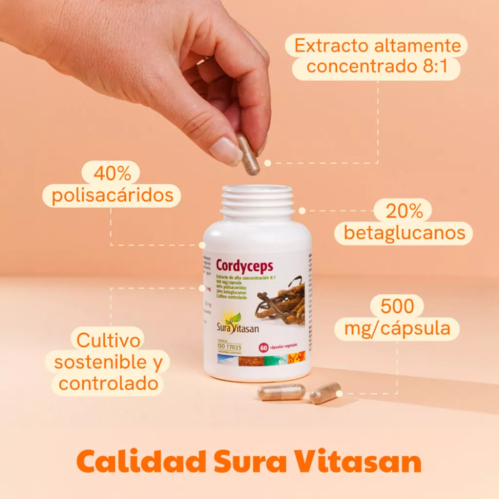 Infografía Cordyceps