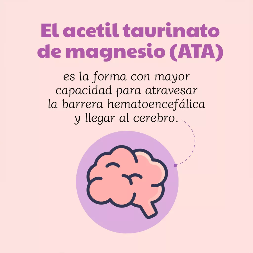 Magnesio ATA