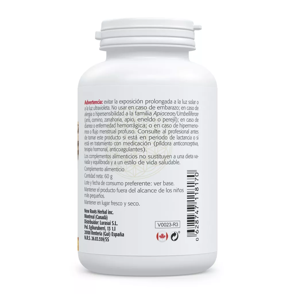 Envase de Dong Quai 500 mg Angelica sinensis Sura Vitasan