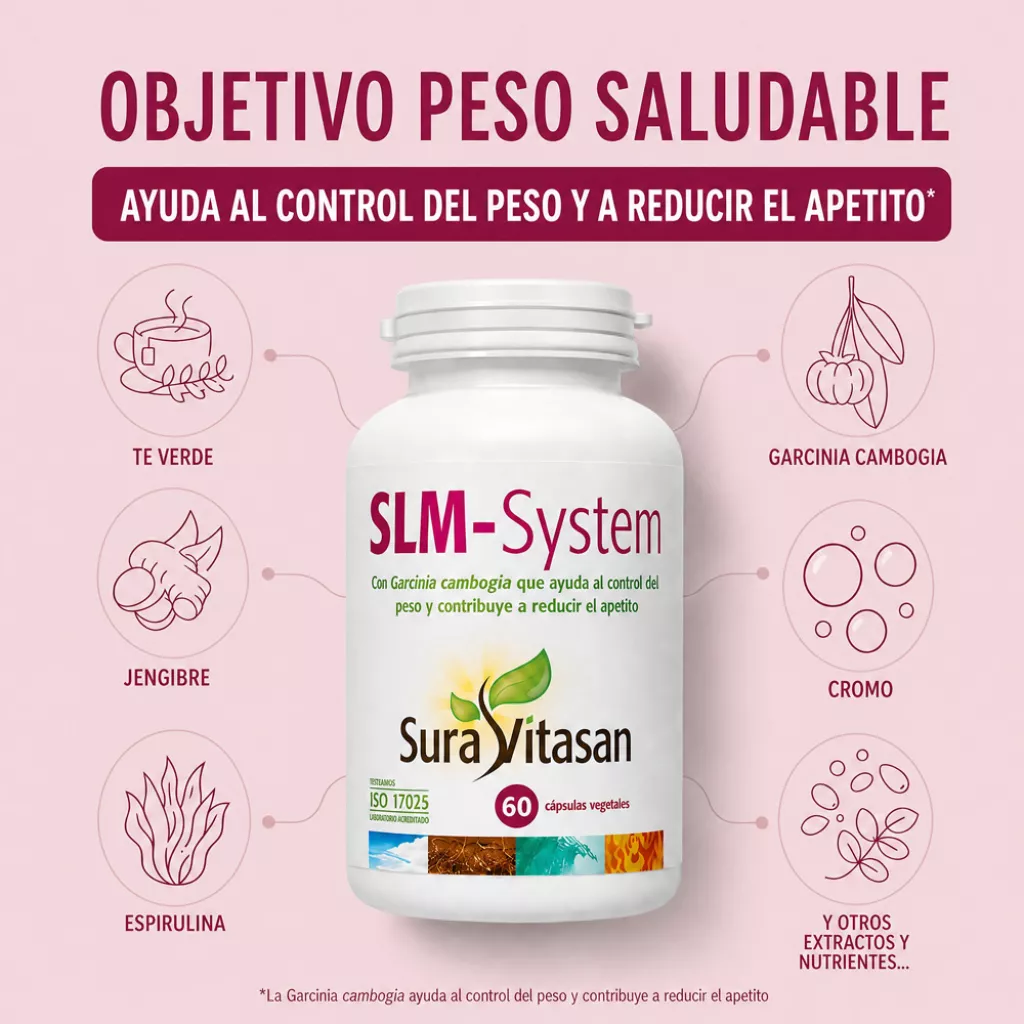 SLM-System Infografia