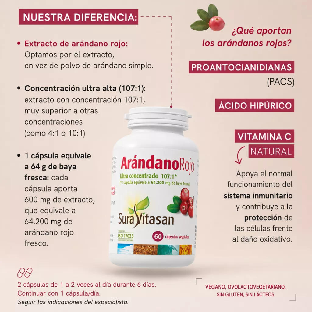 Arándano Rojo infografía