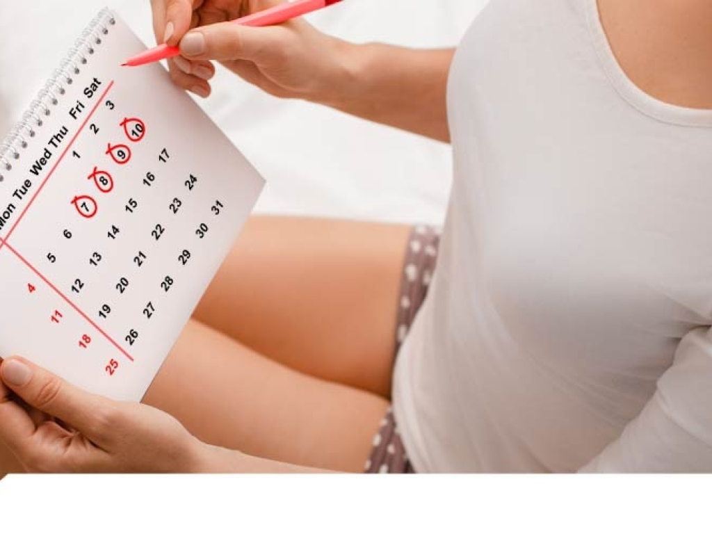 Desmitificando la menstruación: un viaje completo a través del ciclo menstrual