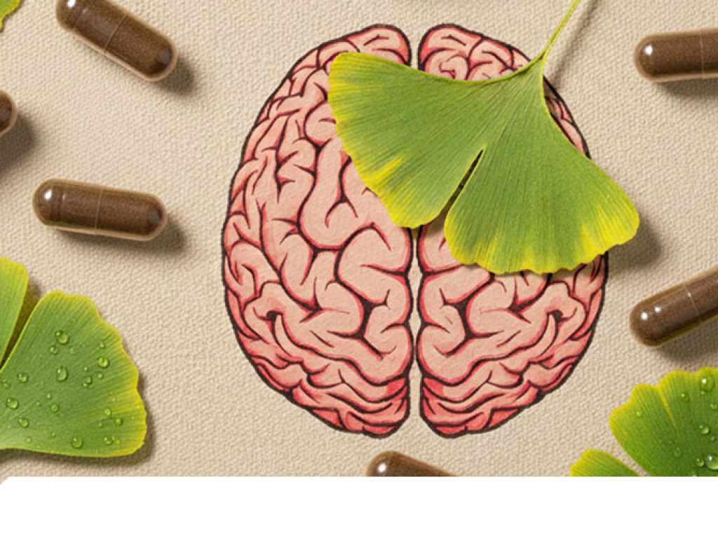 Ginkgo Biloba, sus increíbles beneficios para la salud