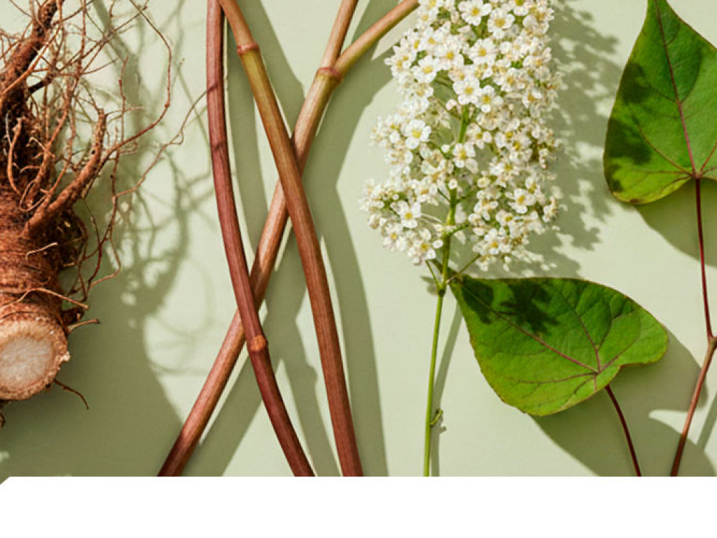 Resveratrol - Descubriendo sus beneficios para la salud