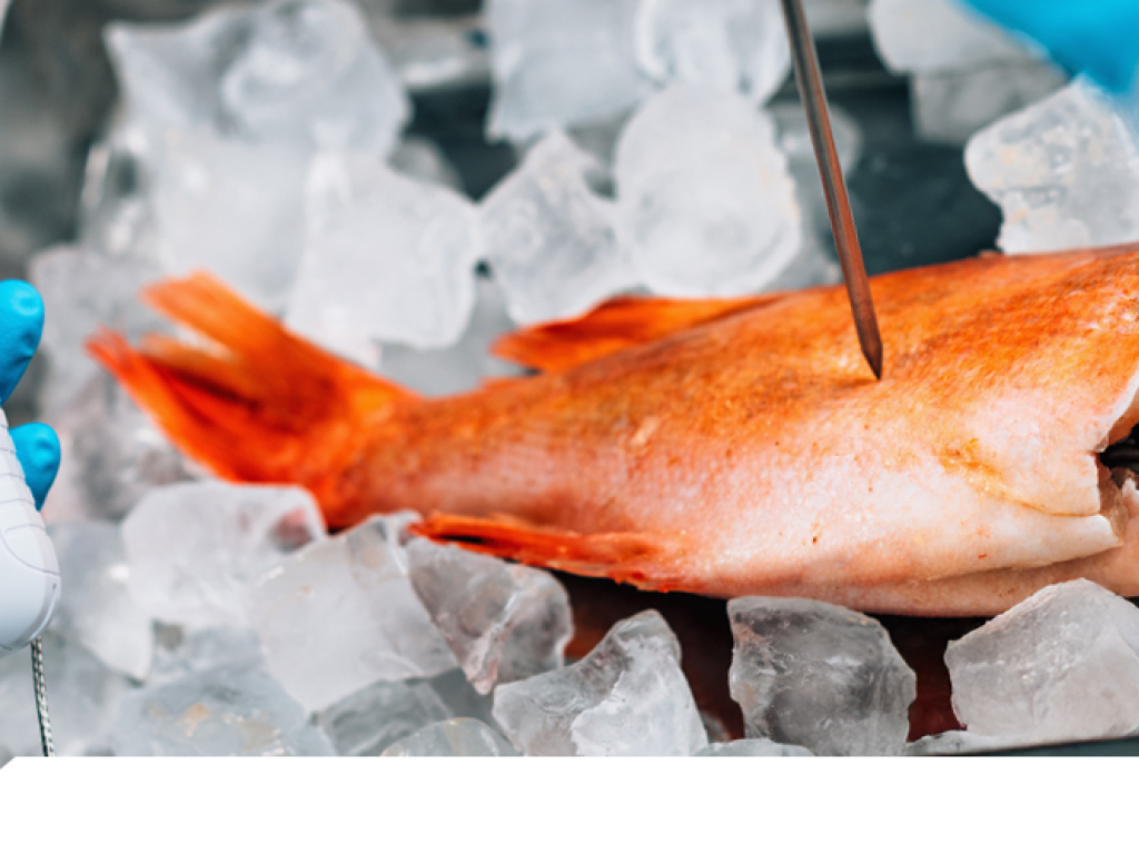 Metales pesados: cómo detectarlos y depurar el organismo con seguridad