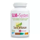 SLM-System