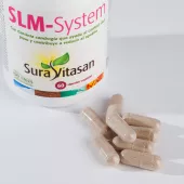 SLM-System