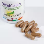 Vital Celular
