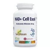 NAD + Cell Excel