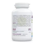 Envase de ashwagandha 500 mg Sura Vitasan