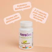 Infografía AeroBen