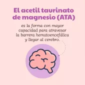 Magnesio ATA