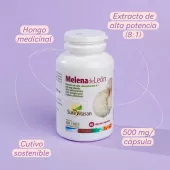 Melena de León