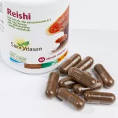 Envase de Reishi 500 mg extracto 8:1 estandarizado Sura Vitasan