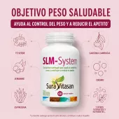 SLM-System Infografia