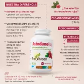 Arándano Rojo infografía