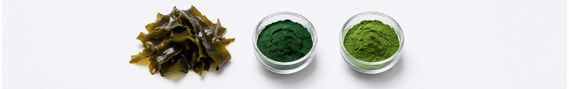 Algas espirulina kelp y chlorella