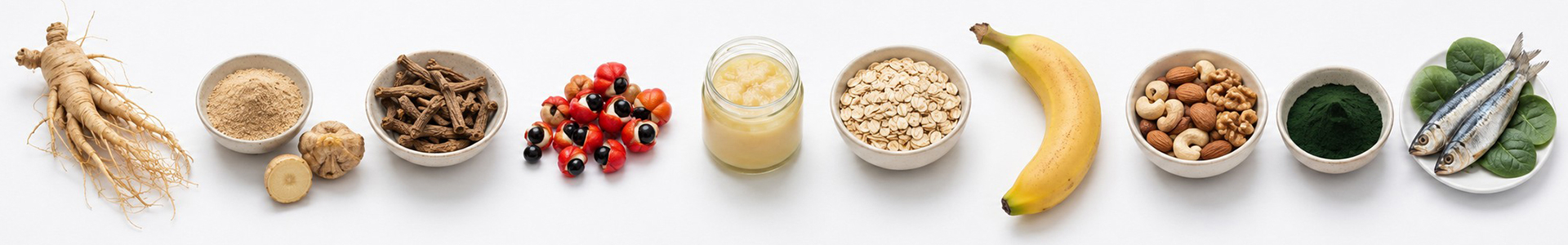Energía, cansancio y metabolismo energético