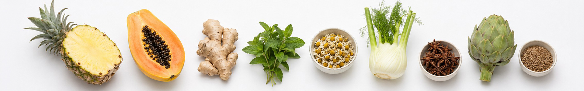 Enzimas digestivas y digestiones pesadas