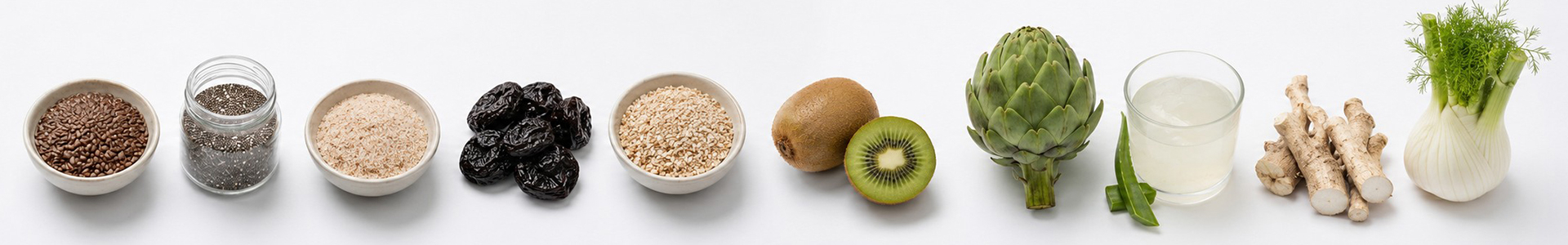 Fibra, tránsito intestinal y regularidad digestiva