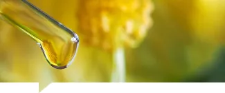 Aceite de Onagra, propiedades y beneficios para la salud