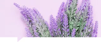 Aceite de Lavanda