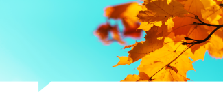 El Otoño ya está aquí