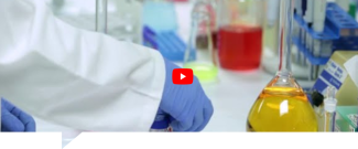 Video + Artículo - Efectos antivirales de la quercetina y compuestos afines