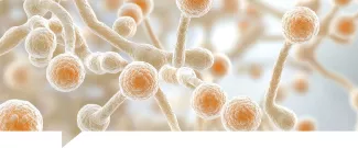 Candidiasis