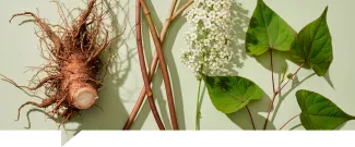 Resveratrol - Descubriendo sus beneficios para la salud