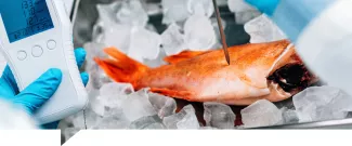 Metales pesados: cómo detectarlos y depurar el organismo con seguridad