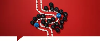 Candidiasis intestinal